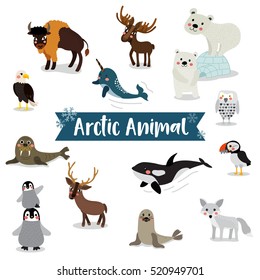 Arctic Animals cartoon on white background.