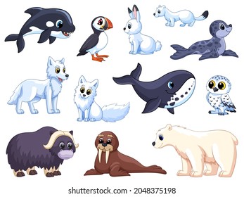 Arctic animals. Cartoon polar wolf, animal tundra. White bear and fox, cute cold seal. Winter isolated childish garish vector north pole characters