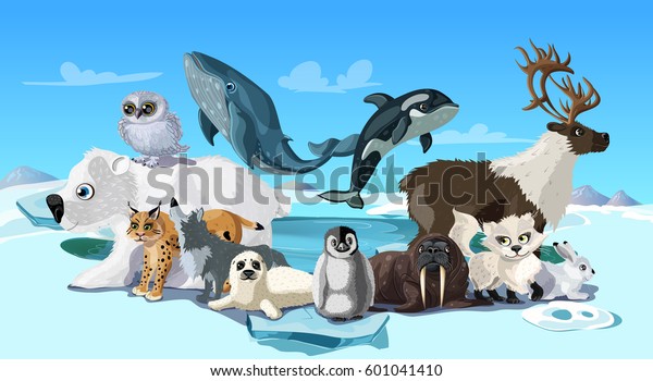 Arctic Animals Cartoon Template Polar Mammals Stock Vector (Royalty ...