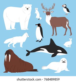 Arctic animals cartoon vector polar bear or penguin character collection with whale reindeer and seal in snowy winter antarctica set isolated illustration