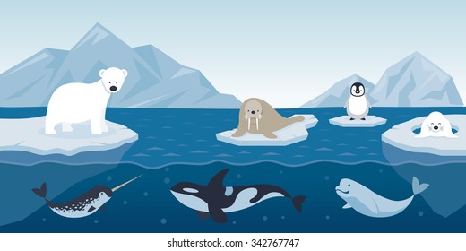 Arctic Animals Character And Background, Winter, Nature Travel And Wildlife