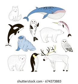  Arctic animals clip-art collection