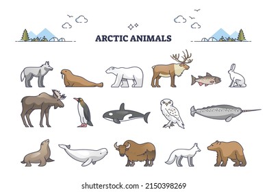 Arctic animals collection with cold north environment wildlife outline set. Frozen nature habitat for penguins, wolfs, seal, bear, reindeer and seals vector illustration. Zoology elements and items.