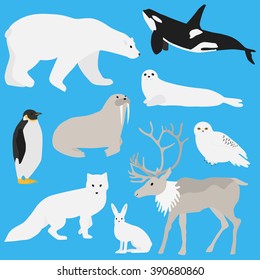 Arctic animals collection.Set of flat minimal vector illustrations of polar mammals and birds Penguin, seal, hare, snowy owl, bear, orca whale, fox, caribou, walrus.Cute cards for memory game.Drawing