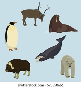 Arctic animals collection with narwhal, moose, walrus, penguin, polar bear