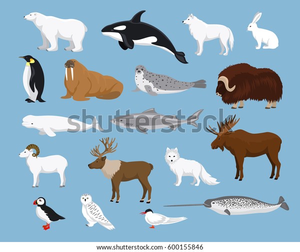 Fox And Polar Bears On Icy Background Seals Penguins Wintery Whales 