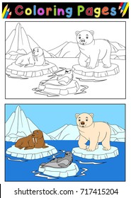 Arctic animals for coloring book 