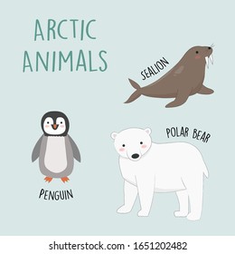 Arctic Animals Cute Illustration Collection
