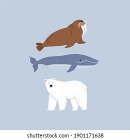 Arctic animals - cute vector illustration. North wild animals - winter set