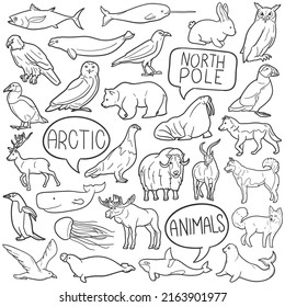 Arctic Animals Doodle Icons. Hand Made Line Art. Polar Clipart Logotype Symbol Design.