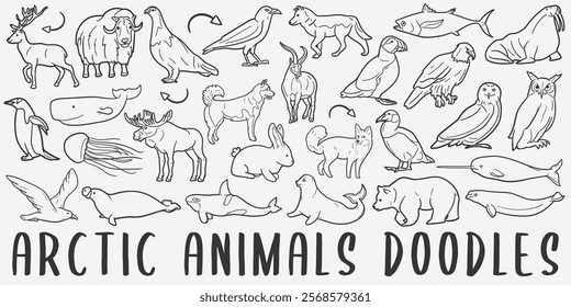 Arctic Animals Doodle Icons. Hand Made Line Art. Polar Clipart Logotype Symbol Design.