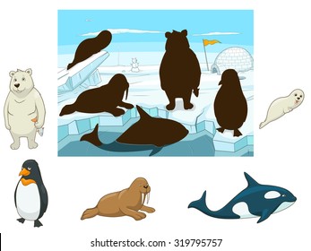 Arctic animals educational game for kids vector illustration, educational game, animals