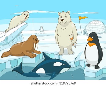 Arctic animals educational game for kids vector illustration, educational game, animals