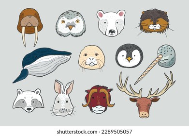  
Arctic animals funny faces vector illustrations set.
