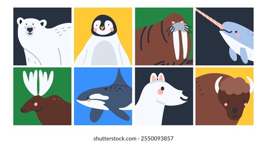 Icono de animales árticos. Tarjetas o carteles de aves y mamíferos polares. Lindos habitantes del norte. Oso blanco, alce, ballena asesina, bisonte. Conjunto de ilustraciones de fauna silvestre del norte aislado plano lindo de la historieta