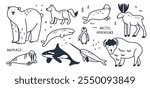 Arctic animals line. Doodle Polar birds and mammals. Northern cute inhabitants. White bear, elk, killer whale, bison. Cute arctic fox, hare, penguin. Cartoon flat isolated north wildlife fauna set