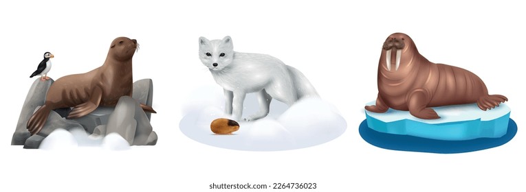 Arctic animals realistic compositions set with seal puffin walrus polar fox and lemming isolated vector illustration