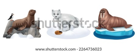 Arctic animals realistic compositions set with seal puffin walrus polar fox and lemming isolated vector illustration