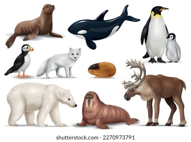 Arctic animals realistic set with puffin polar bear penguins reindeer lemming walrus seal orca whale and ice fox isolated vector illustration