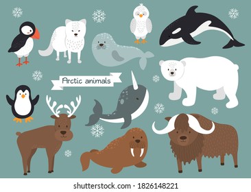 Arctic animals set. Arctic fox, polar bear, penguin, puffin, snowy owl, seal, narwhal, reindeer, walrus, musk-ox. Flat design arctic animals with snow. Vector illustration