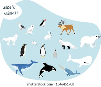 Arctic animals set of isolated illustration . Concept for print, web design, cards, textile, web design, logo, icon , book illustration