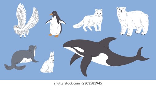 Arctic animals set - penguin, polar bear, white fox, cartoon flat vector illustration isolated on blue background. North pole wildlife. Arctic hare, killer whale, seal and snowy owl. Kids education.