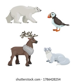 Arctic animals set. Polar bear, arctic puffin bird, reindeer and polar ermine. Cartoon flat design. Vector illustrations isolated on white background.