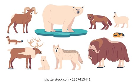 Animales Árticos Se Establecen, Oso Polar, Fox Y Ermine. Musk Ox, Hare y Deer Estas criaturas adaptadas al frío