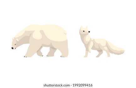 Arctic Animals Set, White Polar Bear and Fox Cartoon Vector Illustration