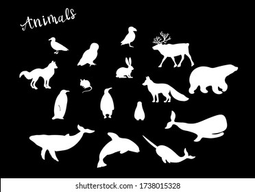 Arctic animals silhouette , fox, wolf, owl, bear, whale, hare, reindeer chalk vector isolated design elements on black background. Concept for logo, icon, print