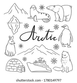 Arctic animals and symbols collection. Hand drawn north wild animals set isolated on white background