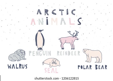 Arctic animals. Vector illustration with hand drawn polar bear, reindeer, walrus, seal and penguin 