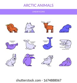 Arctic animals. Vector set of linear icons.
