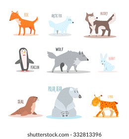 Arctic and Antarctic Animals and Penguin. Flat Vector Illustration