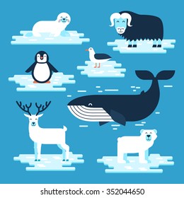 Arctic and Antarctic animals set, vector flat design illustration. Polar animals for infographic. White bear, penguin, musk-ox, blue whale, petrel, seal, reindeer.