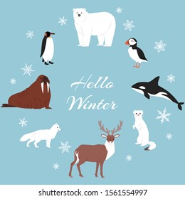 Arctic and antarctic animals vector set. Winter, nature and travel illustration. Penguin, polar bear, seal and reindeer, whale, snowy bird and fox on snowing winter arctic animals background.