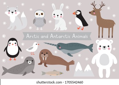 Arctic and Antarctic animals, vector set