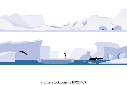 Arctic and Antarctica