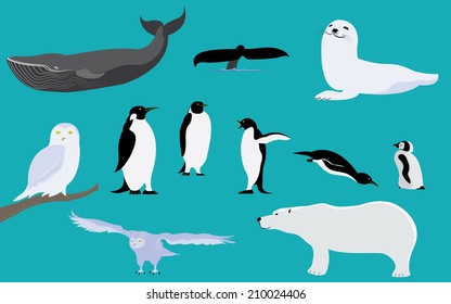 Arctic and Antarctica Animals