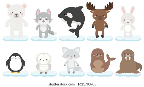 Arctic and Antartic wild animal vector set. Adorable winter animals clip art. Cute flat style character illustrations. Wildlife cartoon collection. Polar bear, arctic fox, snowy owl, orca, penguin.
