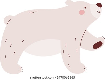 Arctic Bear Animal Vector Illustration