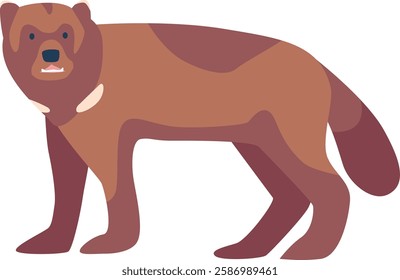 Arctic bear animal vector illustration