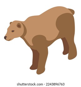 Arctic bear icon isometric vector. Alaska canada. Scenery snow