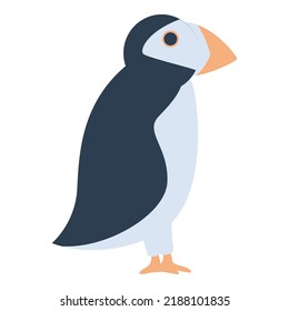Arctic bird icon cartoon vector. Alaska animal. North polar