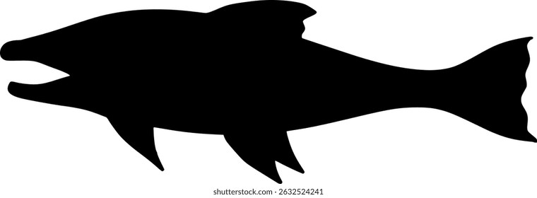 Arctic Char Fish Silhouette Shadow Vector Illustration
