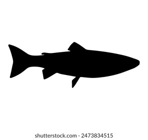 Arctic Char Vektorillustration auf weißem Hintergrund.