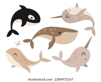 Ártico con ballena, narval, ballena asesina con dibujos de estilo plano. Ilustración del vector