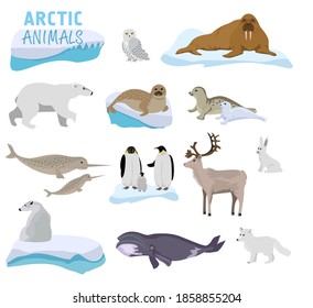 Arktische Kreaturenkartoon auf blauem Hintergrund. Polartiere. Vektorgrafik von polaren Tieren und Vögeln, einschließlich Eisbär, Robbe, Walrus, Polarfuchs, Rentiere, Pinguin.