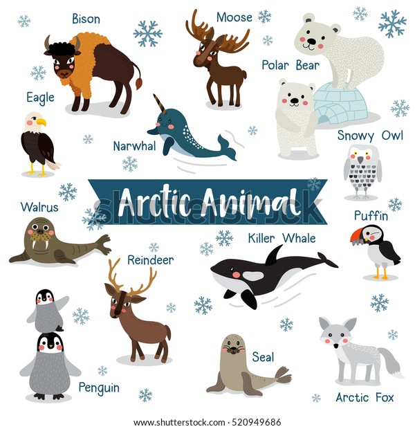 Arctic creature cartoon on white background with\
animal name.
