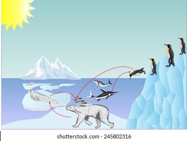 Arctic ecosystems illustration